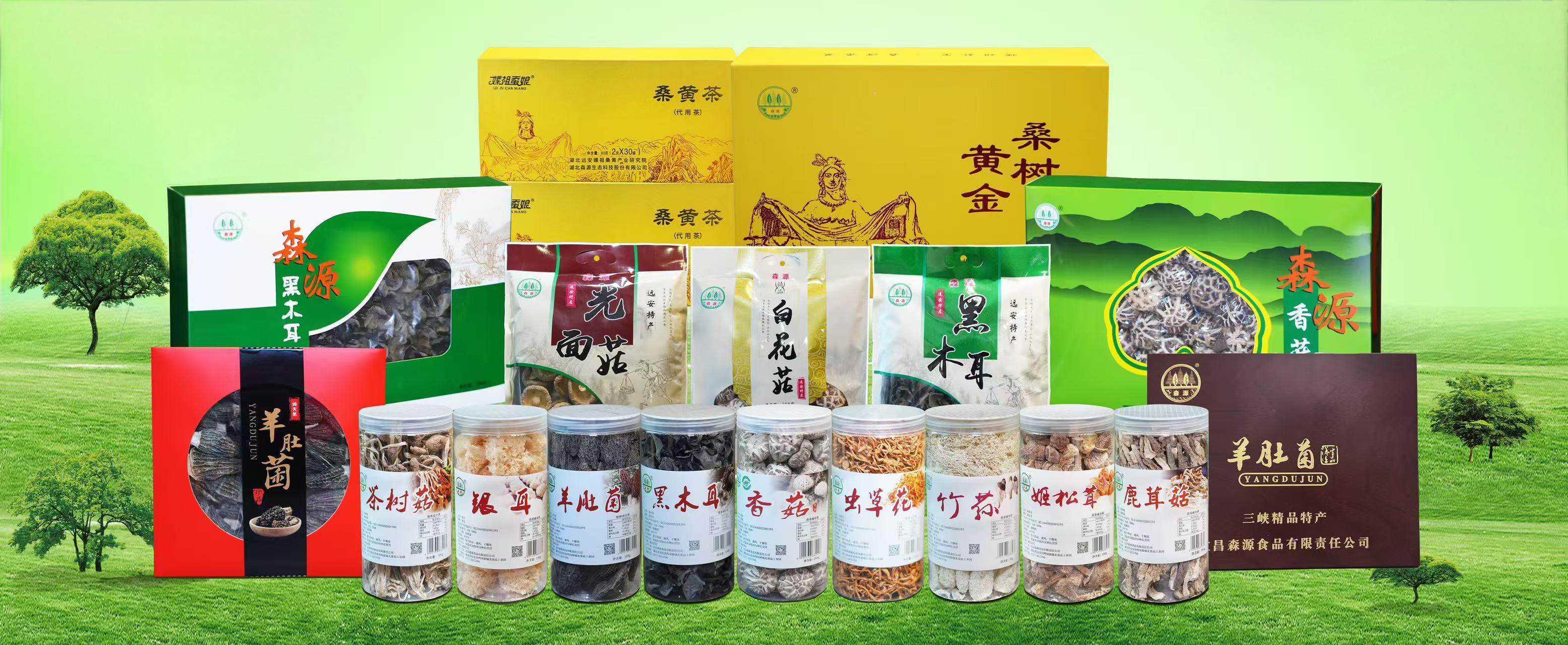 888集团电子游戏(中国区)有限公司官网