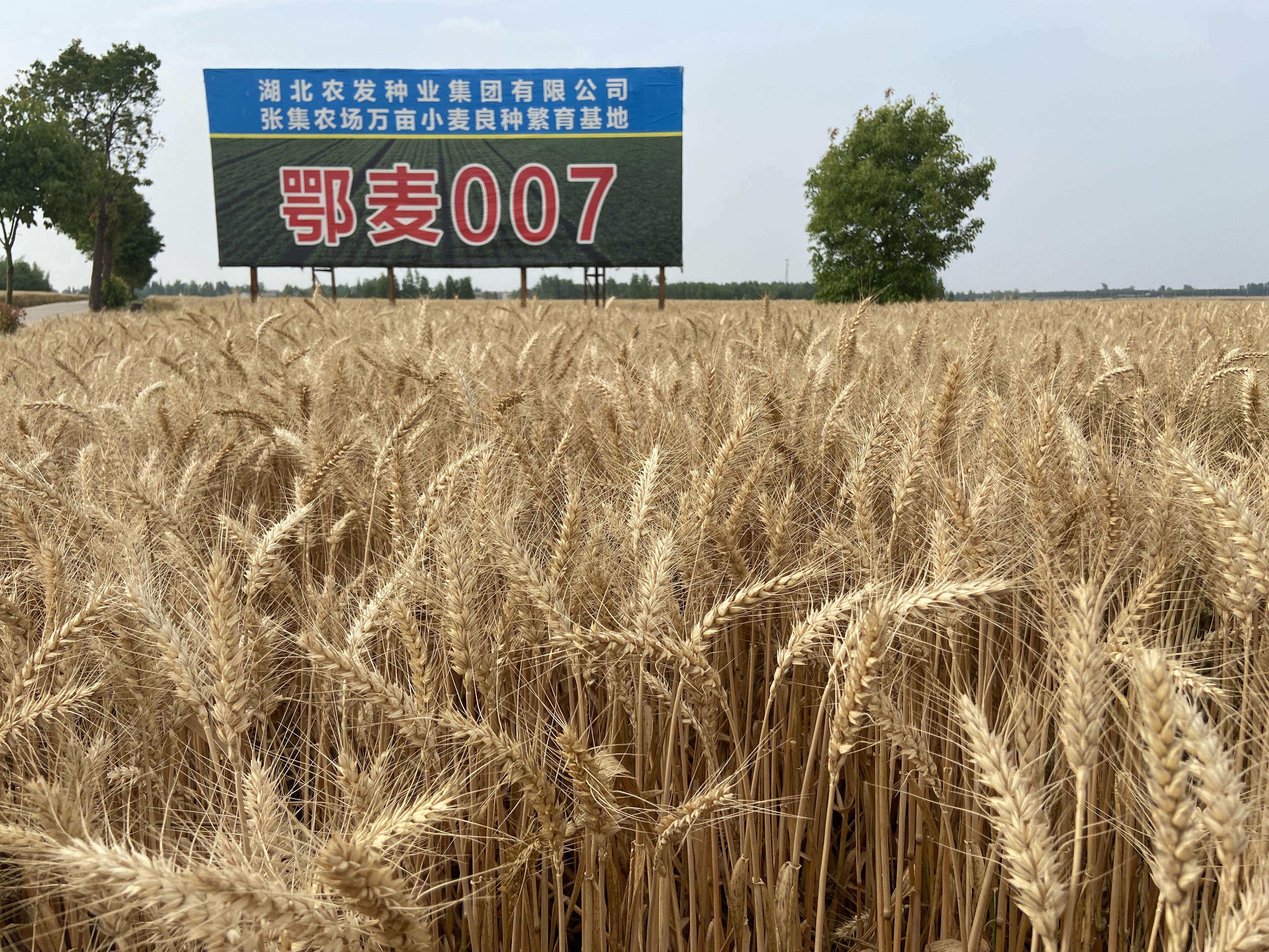 888集团电子游戏(中国区)有限公司官网