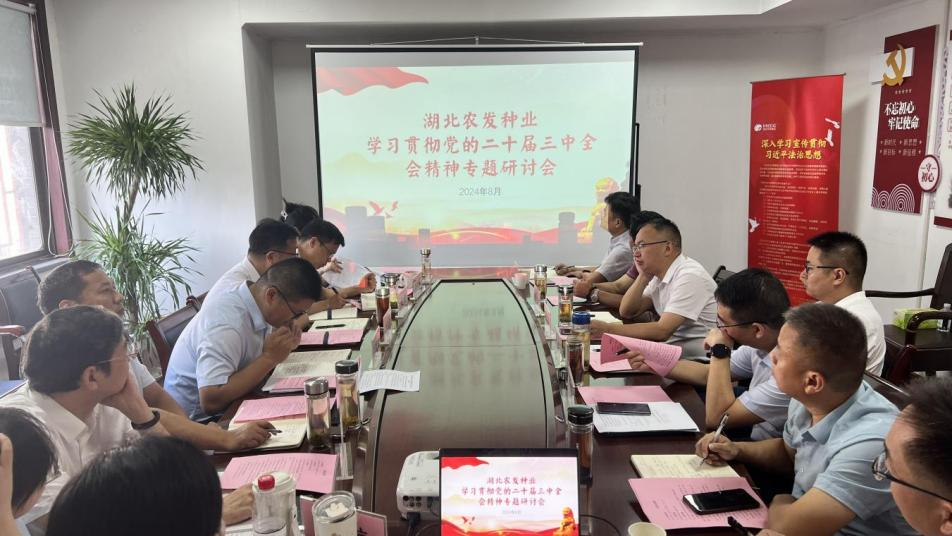 888集团电子游戏(中国区)有限公司官网