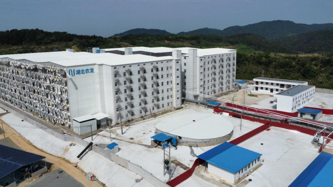 888集团电子游戏(中国区)有限公司官网