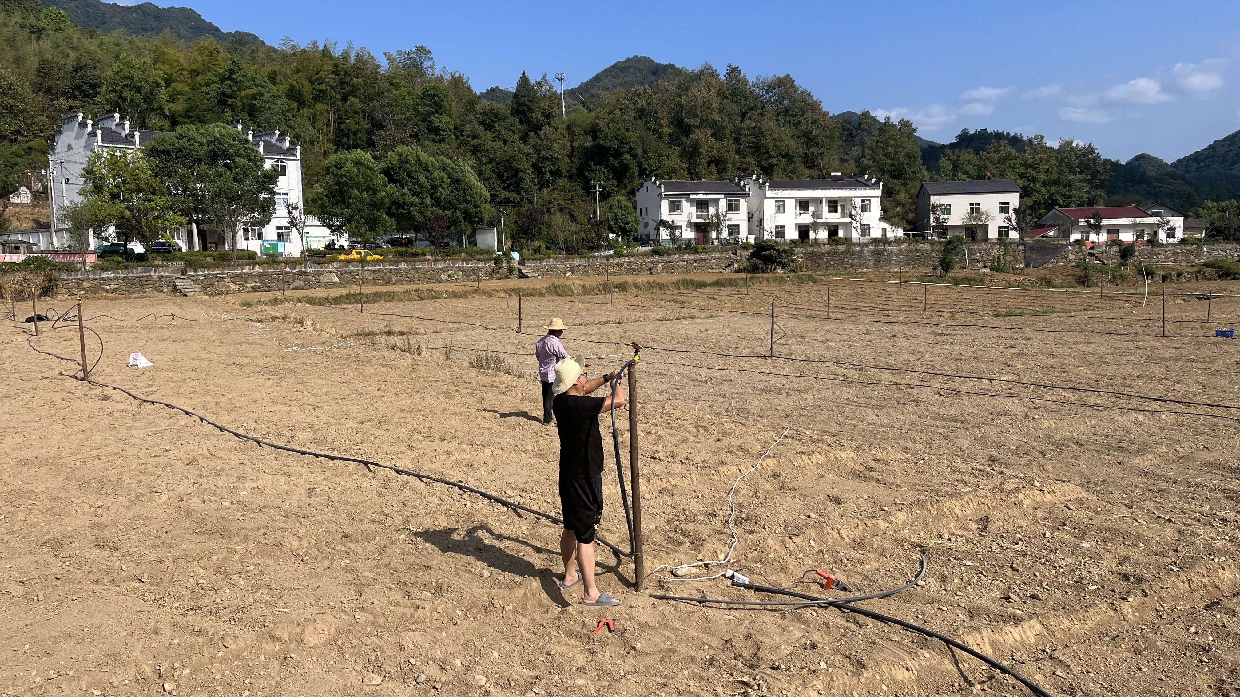888集团电子游戏(中国区)有限公司官网
