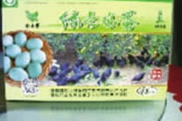 ks��ʱ,�Ͳ�ݪֲ�����ӹ�����,ֲ����ݪֲ�����ӹ�����