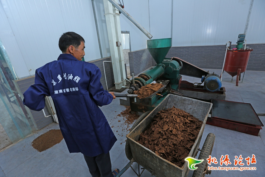 ks��ʱ,�Ͳ�ݪֲ�����ӹ�����,ֲ����ݪֲ�����ӹ�����