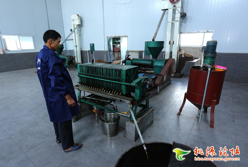 ks��ʱ,�Ͳ�ݪֲ�����ӹ�����,ֲ����ݪֲ�����ӹ�����