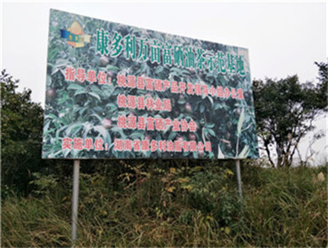 ks��ʱ,�Ͳ�ݪֲ�����ӹ�����,ֲ����ݪֲ�����ӹ�����