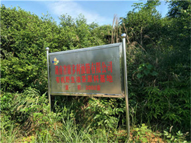 ks��ʱ,�Ͳ�ݪֲ�����ӹ�����,ֲ����ݪֲ�����ӹ�����